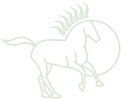 Shabbat Hotel Boutique Icon